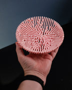Coral Catch All Bowl