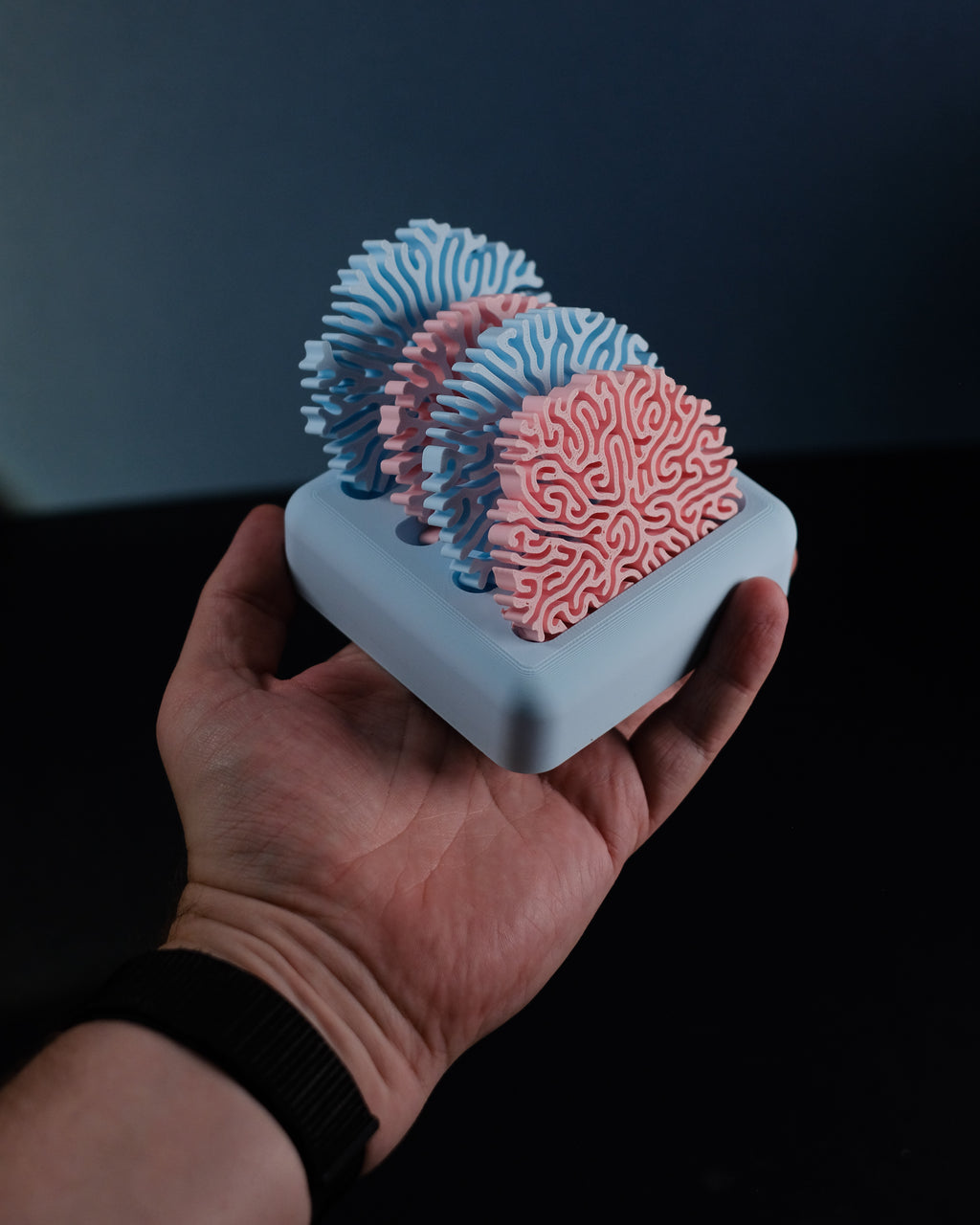 Coral Coasters