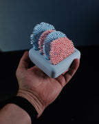 Coral Coasters