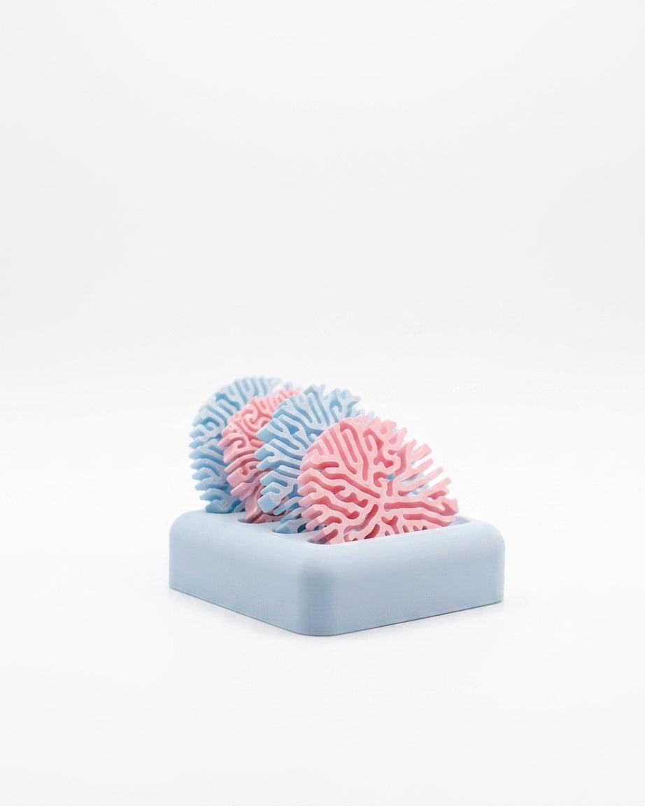 Coral Coasters