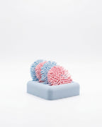 Coral Coasters