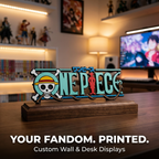 One Piece 3D Display